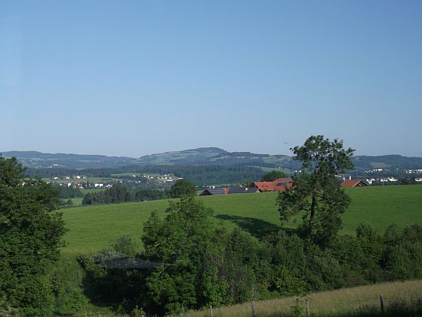 Sulzberg1